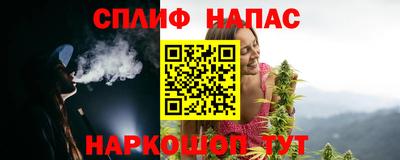 шишки Берёзовский