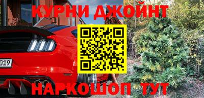 шишки Берёзовский