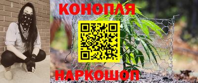 шишки Берёзовский