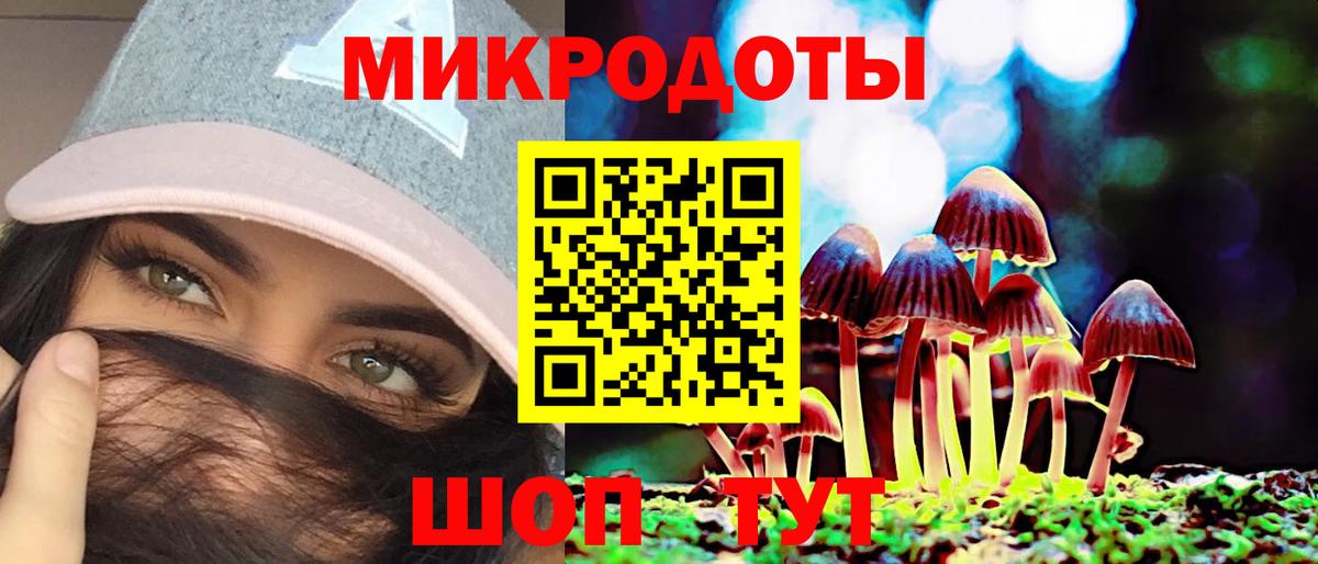 Астрахань  Галлюциногенные грибы Cubensis  Вход с VPN  Галлюциногенные грибы мухоморы 